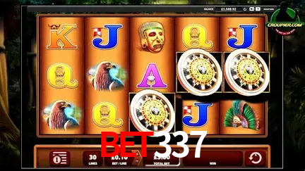 A Experiência Imersiva dos Cassinos Ao Vivo no bet337